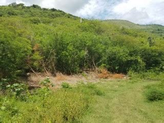 For Sale St. . Land for sale in pamphret st thomas